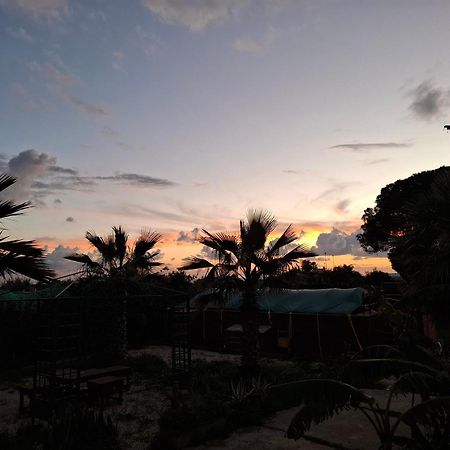 Turtle Island Apartments ซานตาโกรเชกาเมรีนา ภายนอก รูปภาพ
